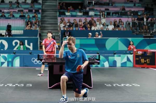 因此她会花 因此她会花